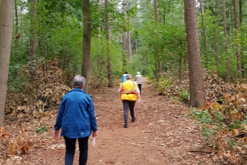 wandelen