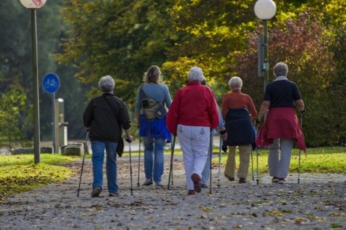 nordic walking natuur ommen